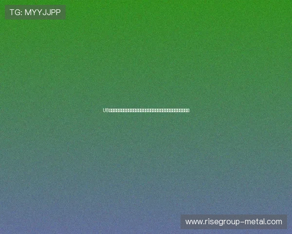 U8体育比赛赛事报道：聚焦世界杯期间青少年足球比赛的最新赛况与精彩表现